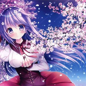 Meet your Posher, Joey